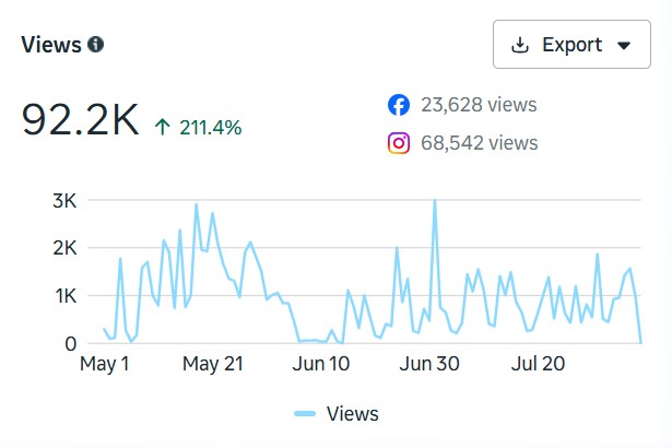 Chiropractic clinic Instagram views analytics screenshot