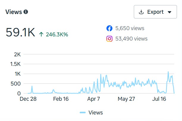 Instagram views analytics screenshot