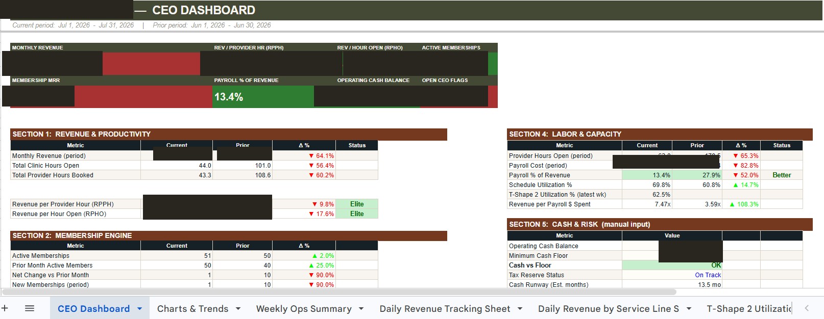 CEO KPI dashboard sample