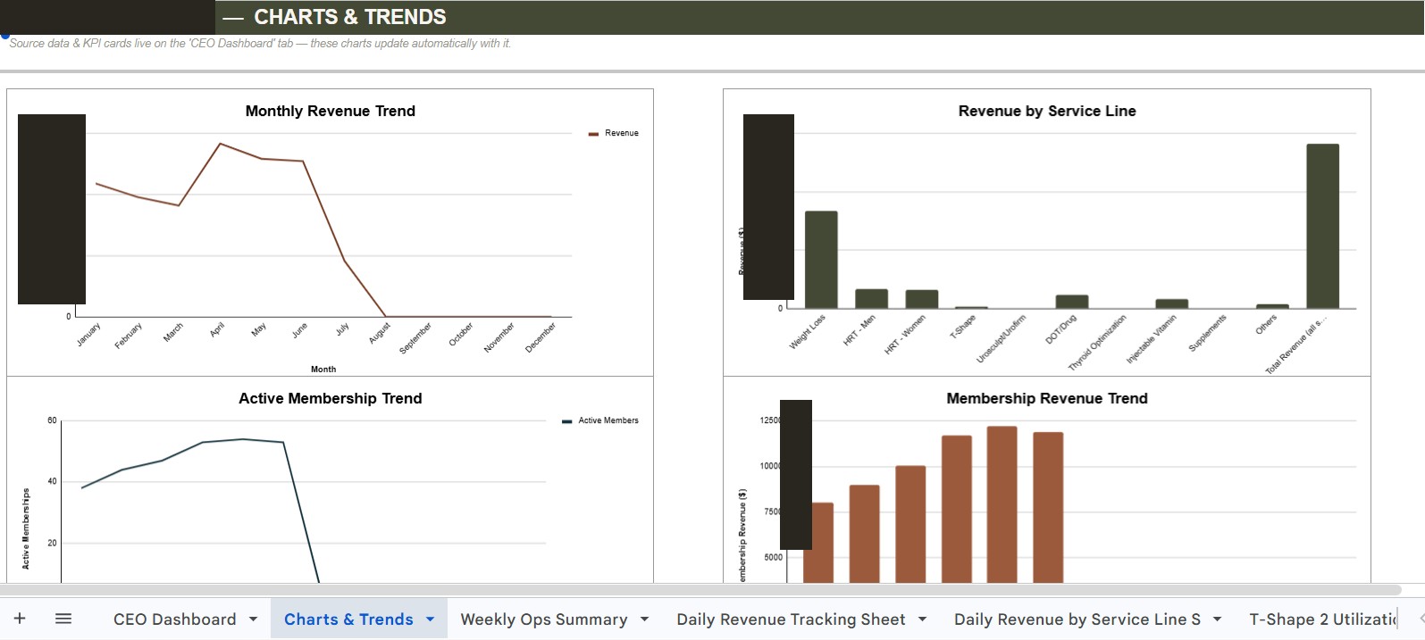 Revenue and trends charts sample